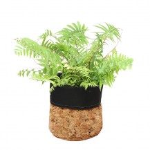 18828 - Cork Planter - Gold Fleck_with plant_1200px
